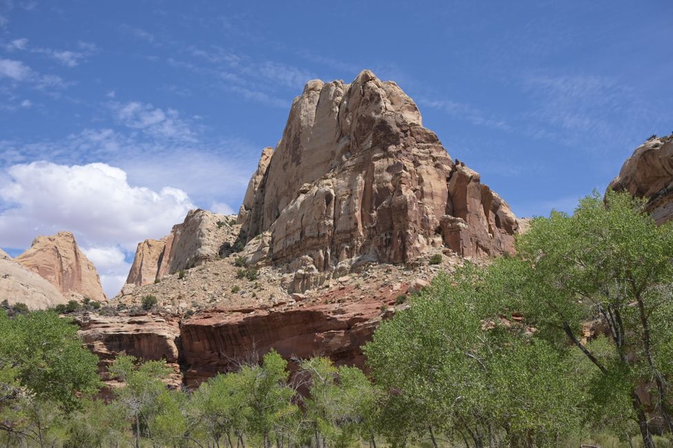In Capitol Reef NP