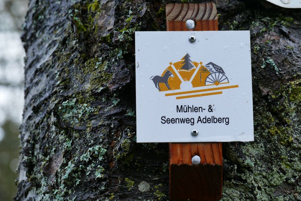 S T A U F E R Z E I T 
     
U N D

S E E I D Y L L E : ein Tag im Kloster Adelberg