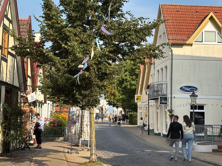 Vom Darß nach Wismar 