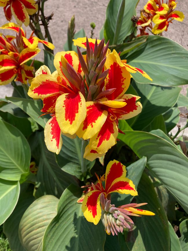 Nach einem Durchhänger geht es wieder aufwärts