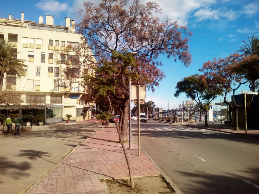 Fotos de la Ràpita (el Montsià, Tarragona) (enero de 2023)