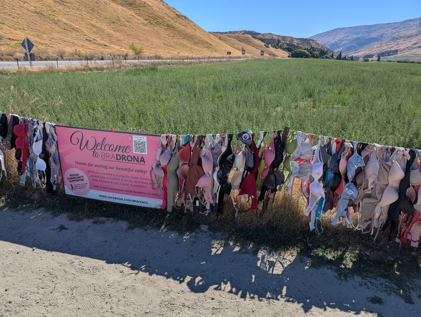 Bra fence