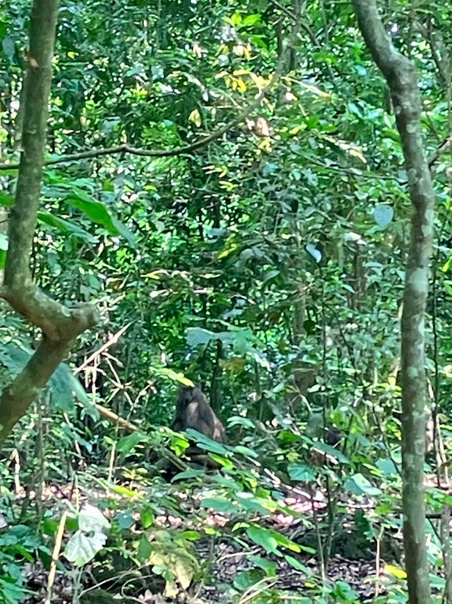 Queen Elizabeth Nationalpark