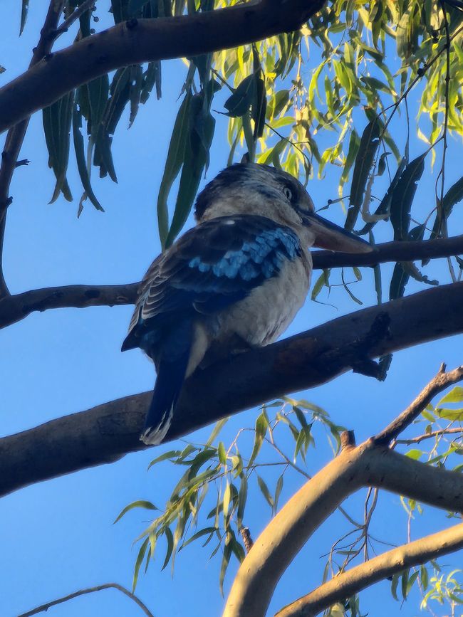 Tag 6, 30. April, Katherine Gorge