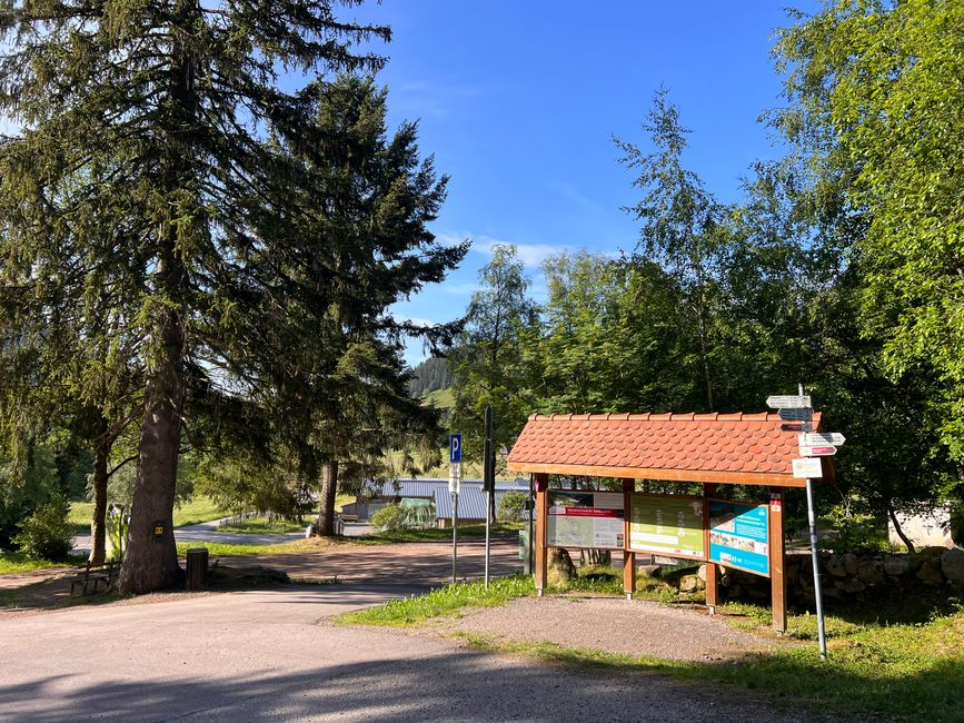 29 nach Hause