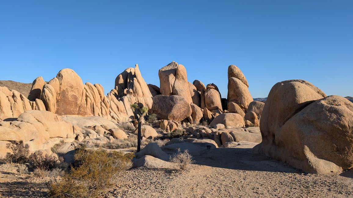 USA - Las Vegas and more ...   road trip 2025