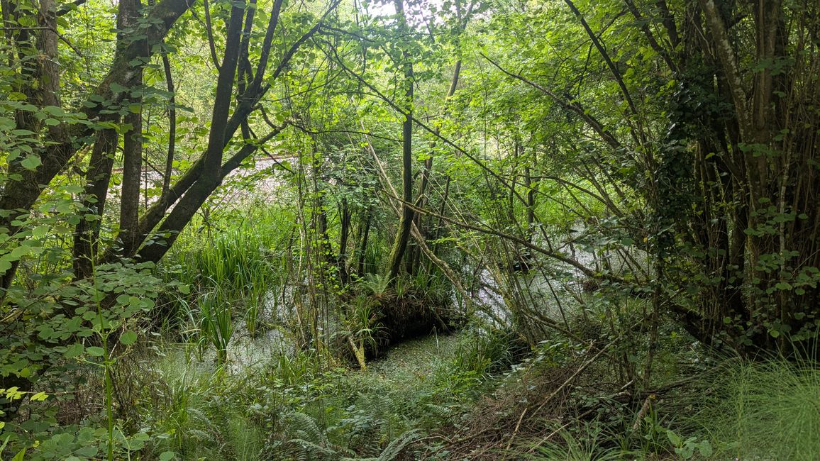 11. Stage Camino del Norte from Serdio to Pendueles