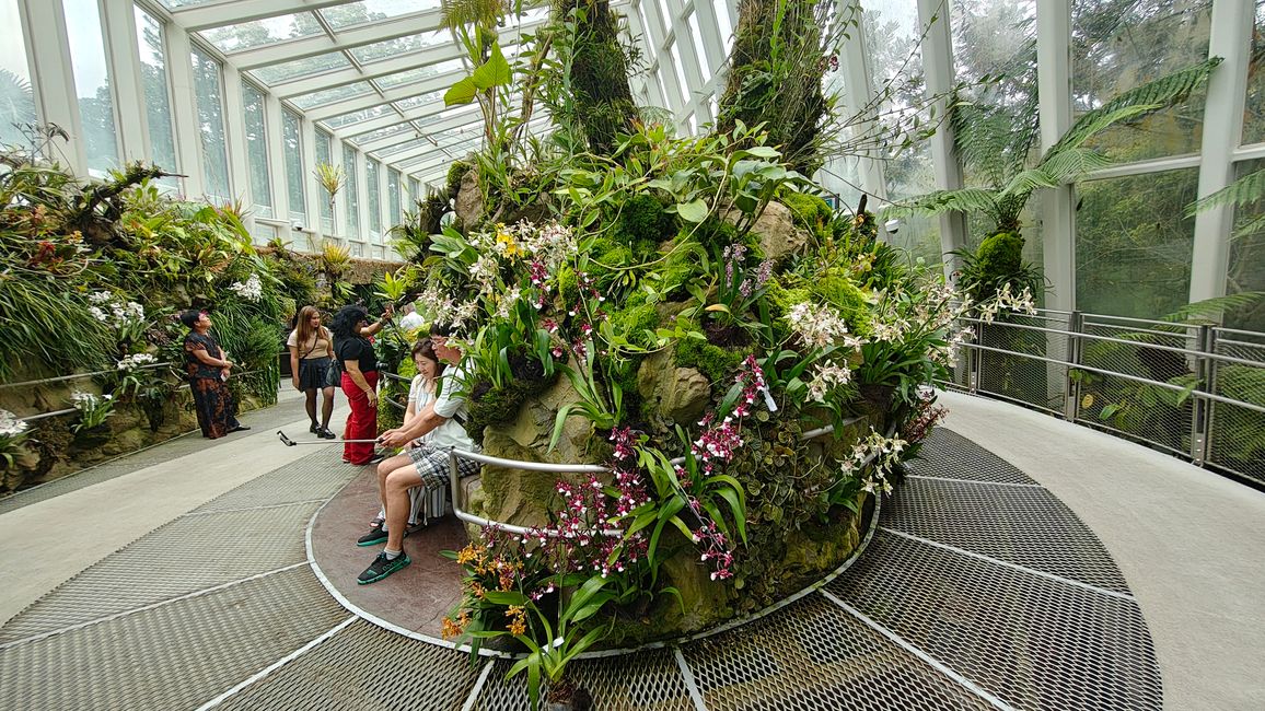 National Orchid Garden im SBG