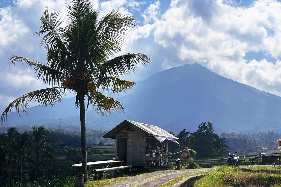 Warung am Wegrand