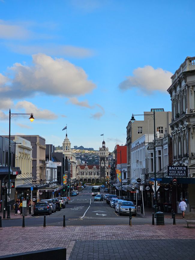 Dunedin
