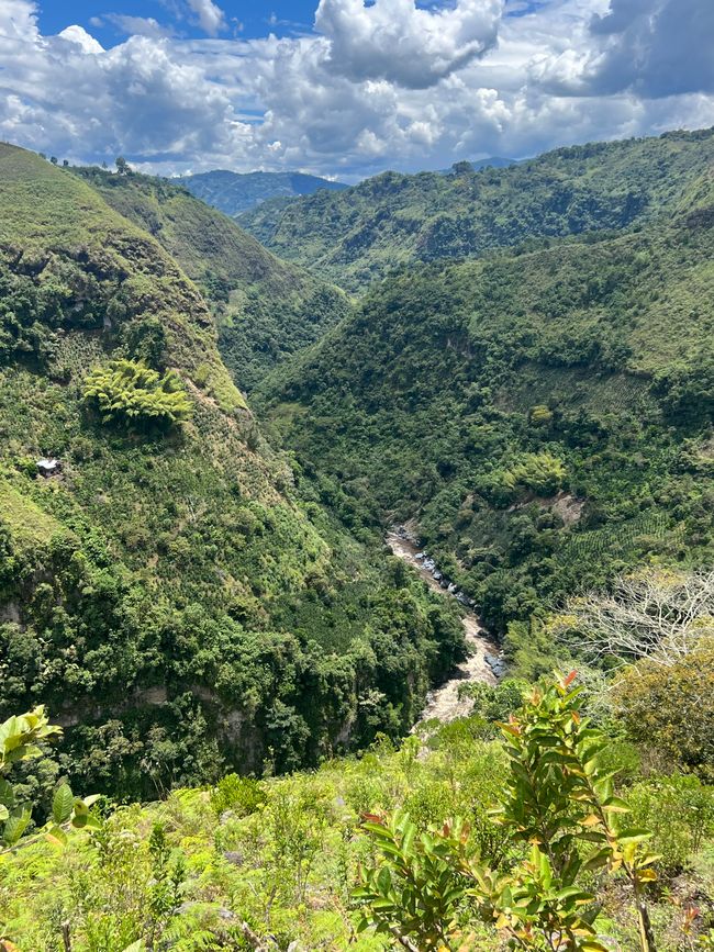 Das Tal des Rio Magdalena