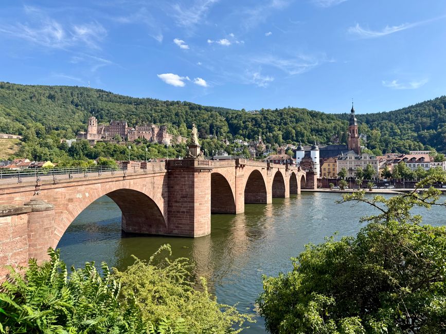📍Heidelberg