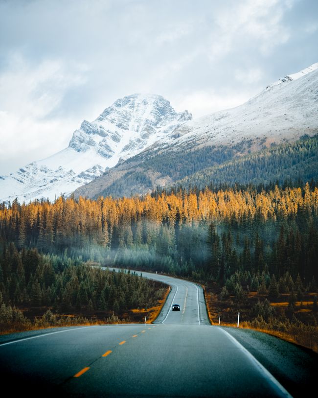 Viaje en coche de Lake Louise a Jasper y el incendio forestal