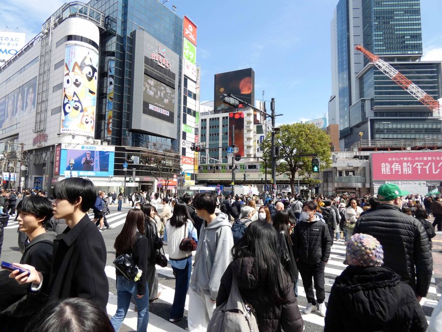 Shibuya-Kreuzung