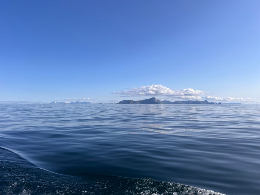LOFOTEN - Che mondo meraviglioso?