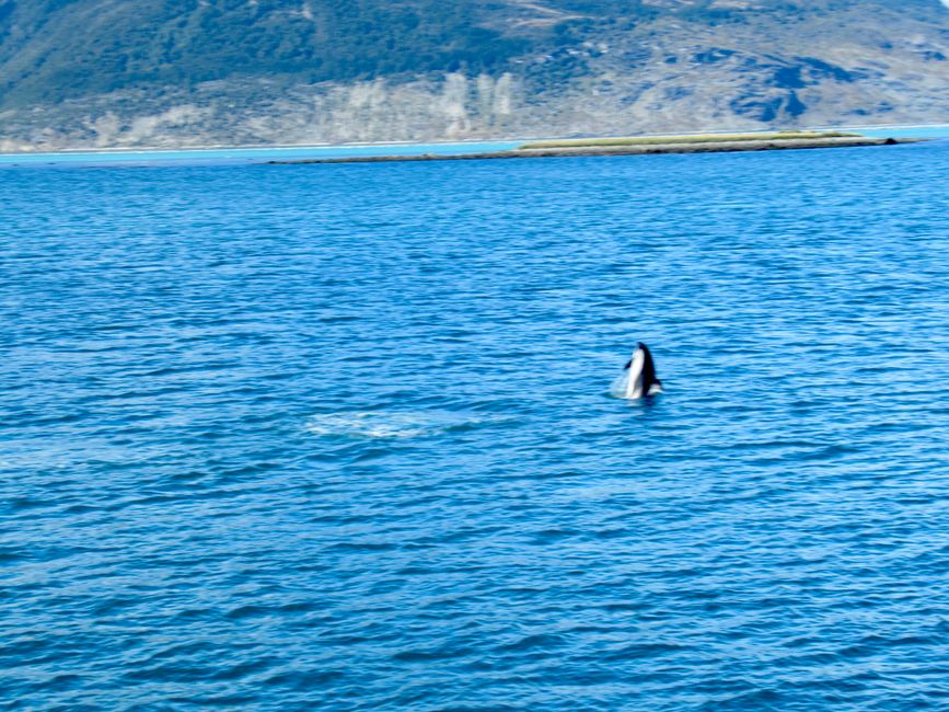 Ab jetzt 4 Tage weiter mit dem Schiff 