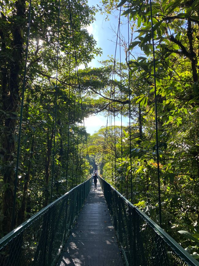 Monteverde