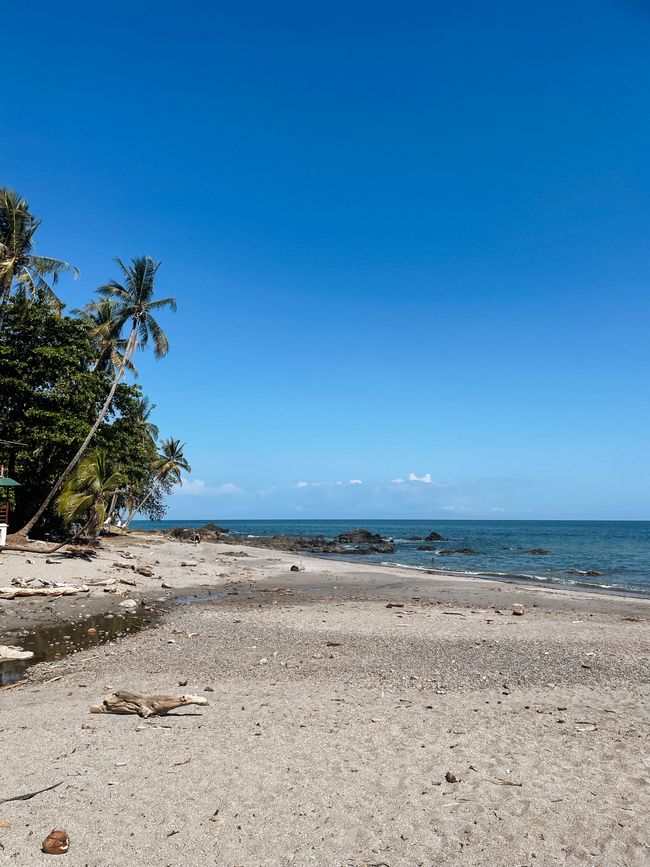 Pura Vida en Santa Teresa 🇨🇷🌴🔆🌊🐚