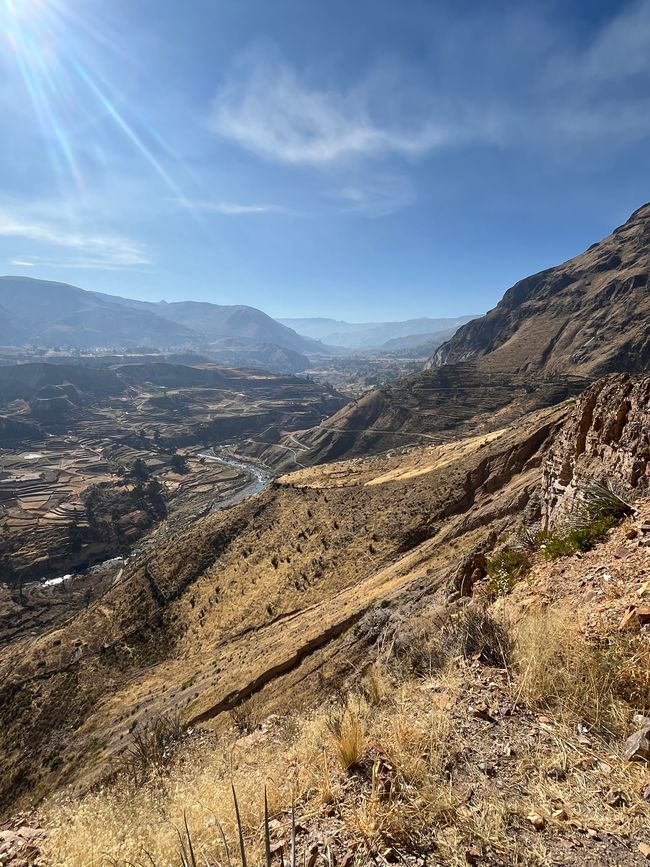 Canyon de Colca