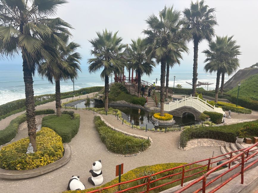 Diplomazia del panda sotto forma di un parco donato