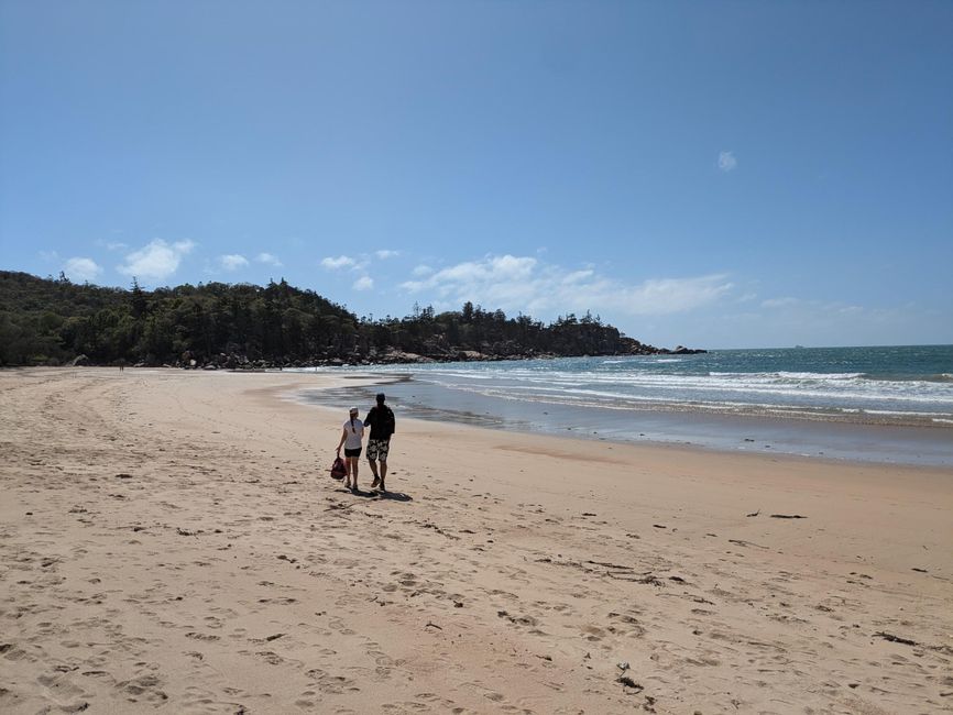 Magnetic Island, Koala und Co.
