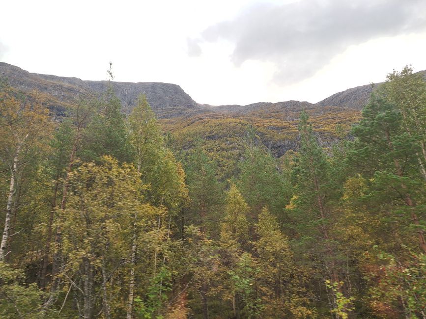 Etiqueta 14 Andalsnes