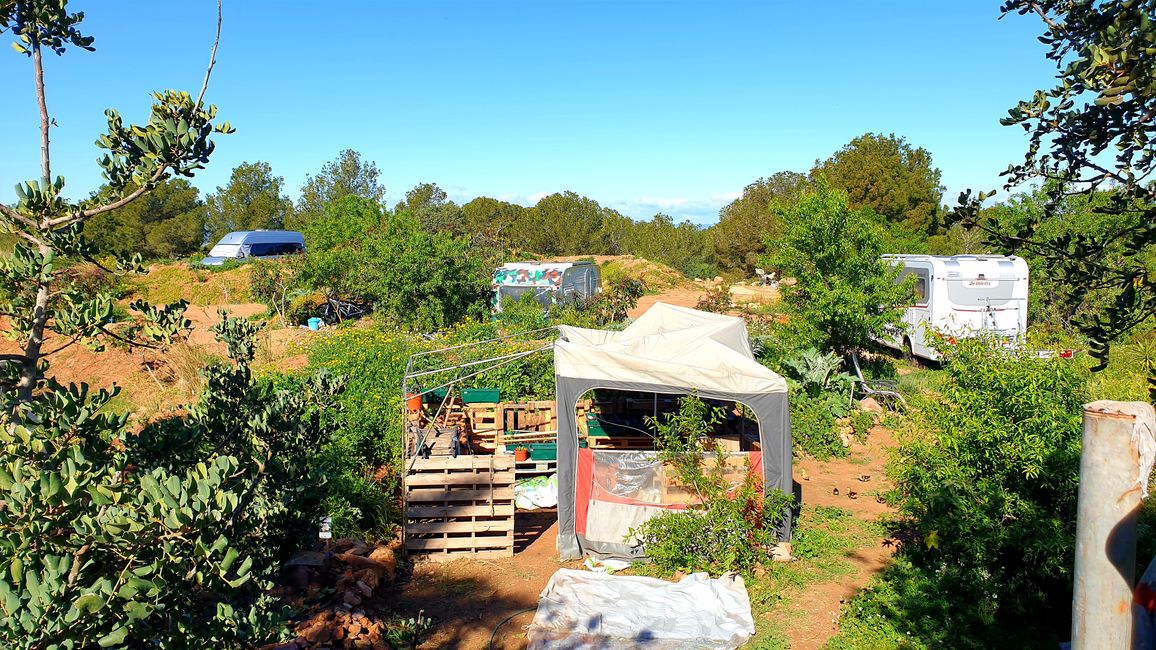 Pausa forzada en la 'Peacebase'