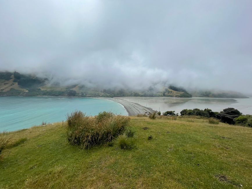 Cable Bay and Christmas Eve