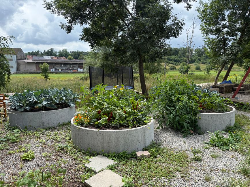 Unsere Hochbeete/ our raised beds