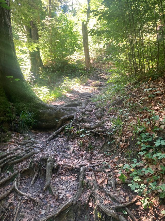 Das Wandern ist des Fischers  Lust-Ellegghöhe