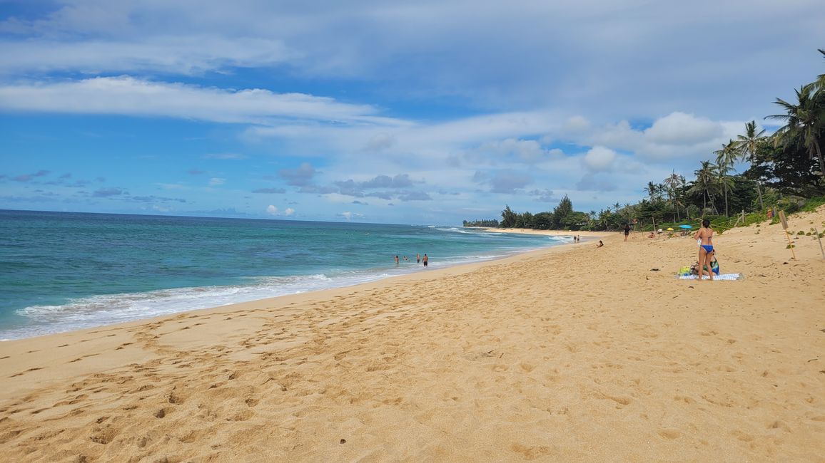 Snorkeling at Sharks Bay and more ...