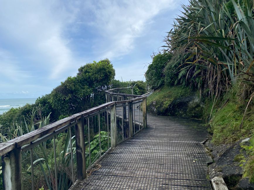 Da Hokitika a Carters Beach