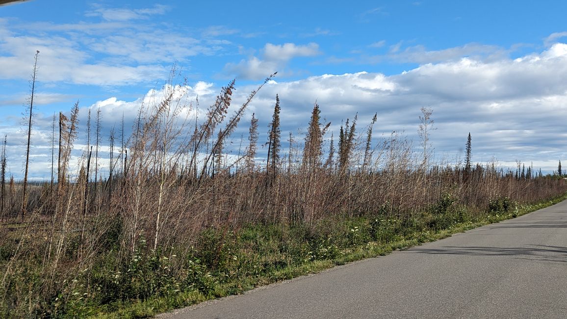 Etiqueta 20: Lago Boya - Lago Marsh: un largo día de viaje en Yukon