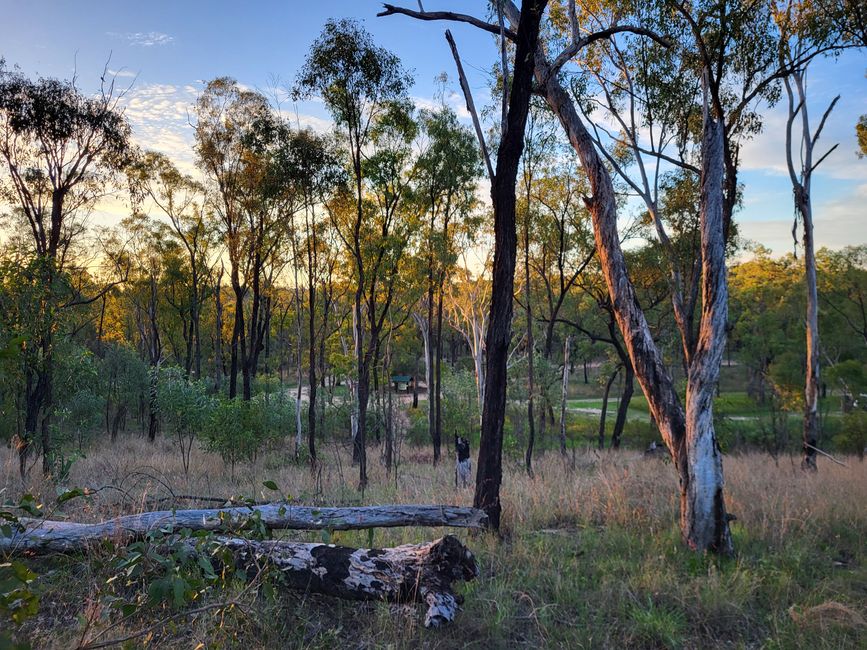 Sonnenuntergangsstimmung