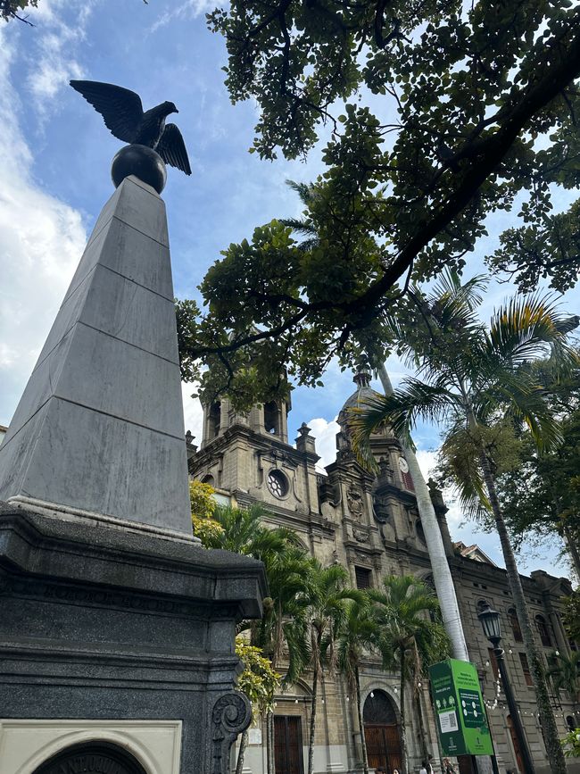 Medellín- die Stadt, in der alles erblüht?