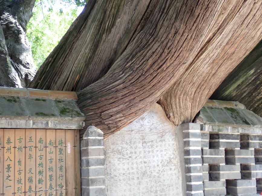Du Fu