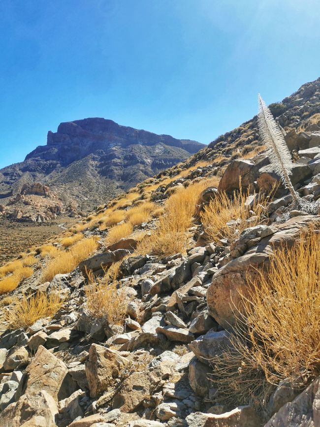 Národní park Teide 