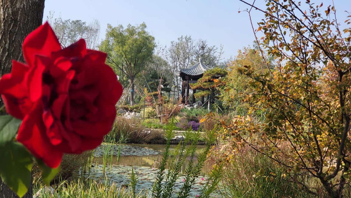 Exposición de Jardín Cangzhou