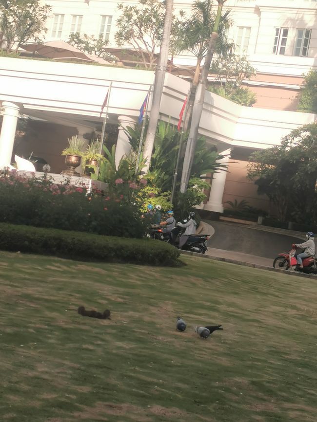 ... and rats on the ground in harmony with the flying rats ...