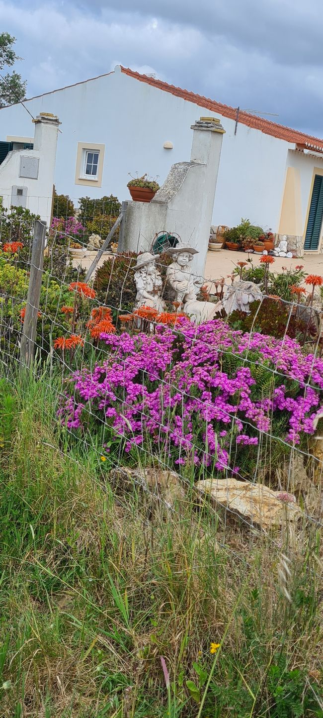 6. Etapa Praia de Odeceixe - Monte Clerigo
