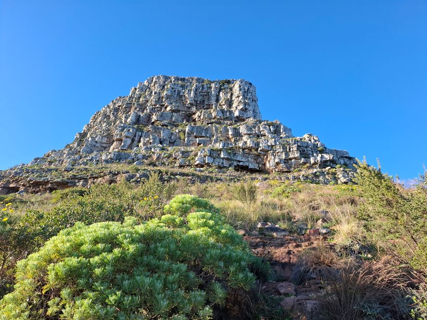 ¡Eso es Lion's head!