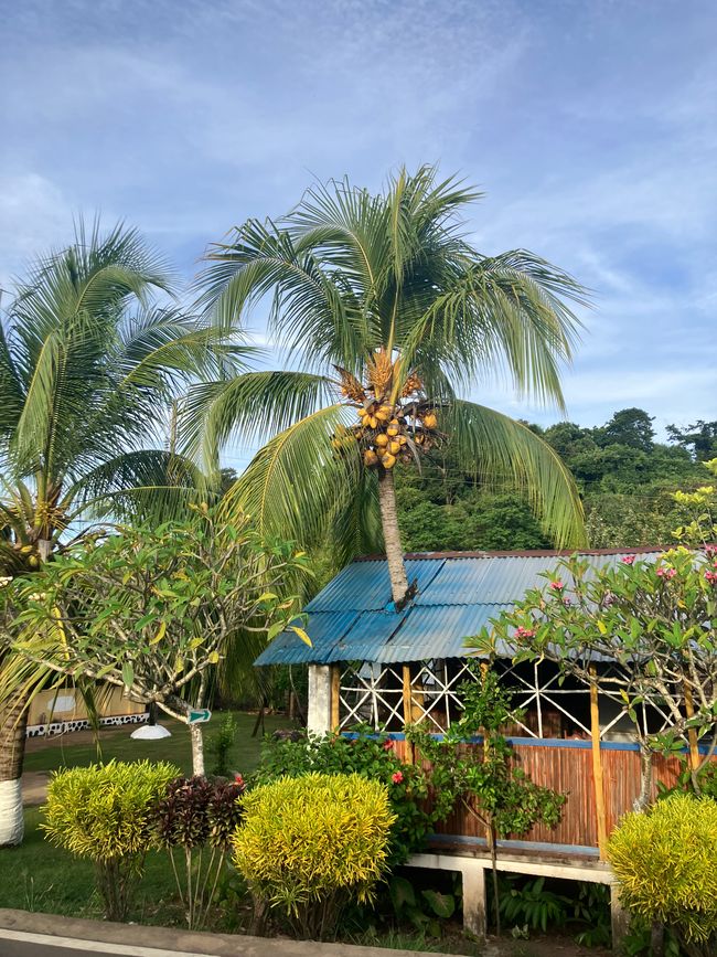 Paraíso insular Nosy Be