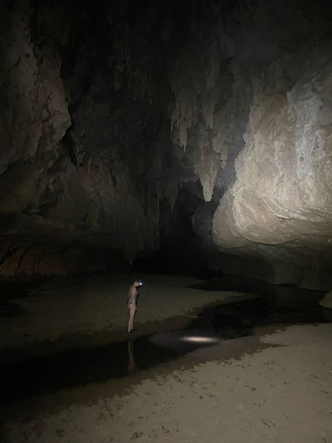 À la recherche de vie dans l'eau