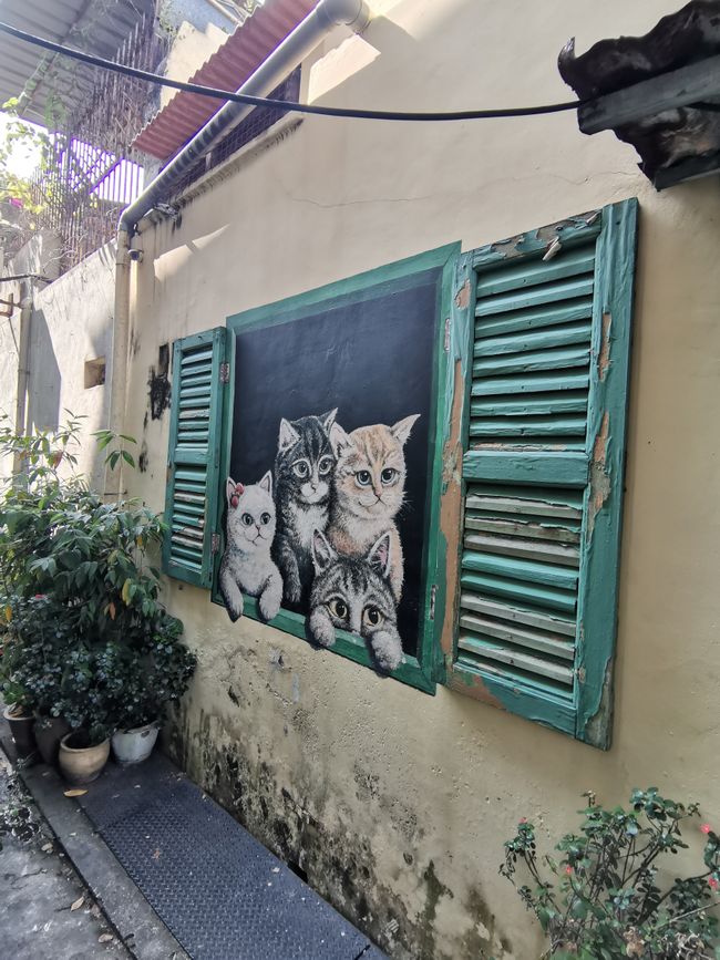 Cameron Highlands und George Town - Teeplantagen und Straßenkunst