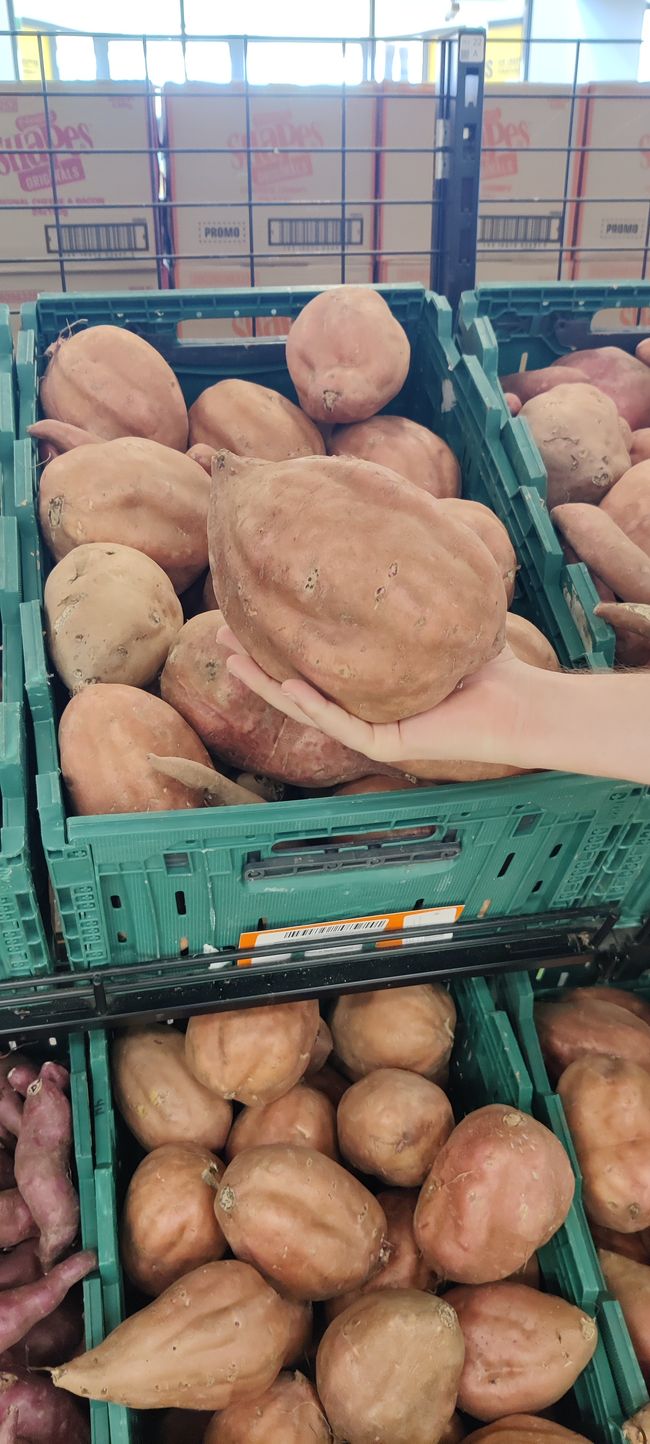 Wie groß will eine Süßkartoffel sein?