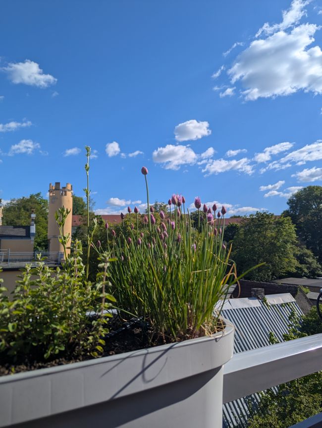 Altenburg