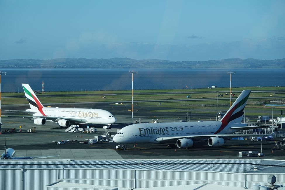Von Paihia über Auckland nach Sydney ....