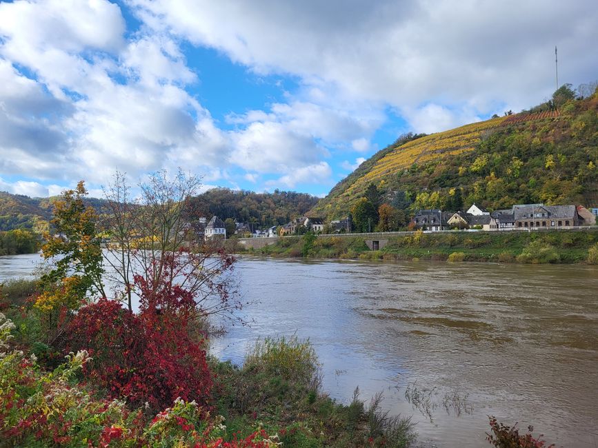 Moselle