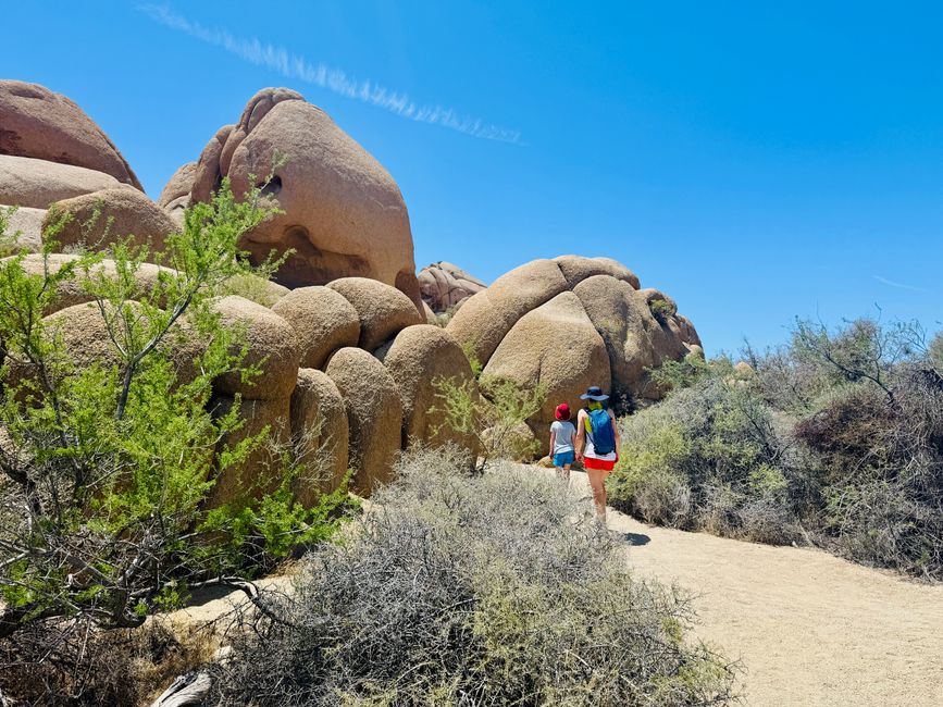Joshua Tree National Park – Arch Rock & Skull Rock