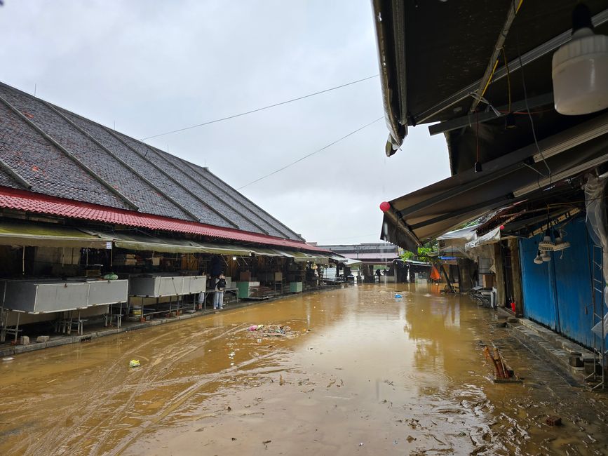 Hoi An - les travaux de nettoyage ont commencé